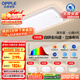 歐普（OPPLE）護(hù)眼全光譜吸頂燈客廳燈LED滿天星高亮線條簡約奶油風(fēng)包安裝套餐1