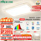 雷士（NVC）燈具全光譜吸頂燈客廳大燈聲控LED北歐奶油風(fēng)護(hù)眼白悠然包安裝
