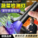 洽苒德國工藝紫光燈鑒定專用蔬菜果檢測燈黃曲霉菌熒光劑UV紫光手電筒 【大功率蔬菜檢測燈+365UV黑鏡+農(nóng)藥殘留檢測
