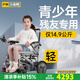 護衛神小型超輕殘疾電動(dòng)輪椅全自動(dòng)輕便四輪手推車(chē)拉桿小金剛 升級拉桿款/20安鋰電池/約35公里（熱選） 智能電助推