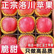 兮柔正宗洛川紅富士蘋(píng)果 脆甜冰糖心蘋(píng)果平果當季時(shí)令新鮮水果 凈重4.5斤 單果75-80mm