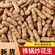 駝背熊 新貨山東鐵鍋炒熟花生原味紅皮花生帶殼香脆特大農家散裝 粉皮兩粒大花生3斤