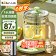 小熊（Bear）養(yǎng)生壺煮茶壺恒溫水壺多檔保溫燒水一體電熱水壺花茶壺 1.5升全自動玻璃養(yǎng)生燒水壺0膠水 國家補貼 YSH-B18T1【配濾網(wǎng)+蛋架】 1.5L 綠色