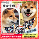 puppytie狗狗項(xiàng)圈三角巾脖圈柴犬中型小型犬 深藍(lán) 均碼