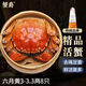 【活蟹】蟹爵大閘蟹鮮活螃蟹現(xiàn)貨生鮮河蟹實物水產(chǎn)海鮮禮盒 六月黃3-3.3兩8只