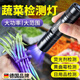 哲初德國蔬菜水果檢測燈紫光燈鑒定專(zhuān)用波爾多液藍礬檢測筆365nm手電 旗艦款【蔬菜農藥殘留高效檢測】UV黑鏡365