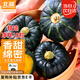 北蔬 貝貝南瓜種子種苗板栗味陽臺盆栽種菜蔬菜種籽 貝貝南瓜種子10粒