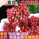克倫生無(wú)籽葡萄新鮮現摘脆甜無(wú)籽紅提玻璃脆提子當季水果孕婦整箱 4斤 精選裝