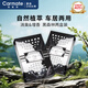車(chē)載香薰汽車(chē)香水胖固體香膏東類(lèi)古龍持久來(lái)留淡香除異味黑森林*2