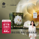 babycare山茶花防溢乳墊 一次性超薄柔軟透氣防溢乳貼乳墊 120片