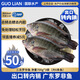 GUO LIAN國聯(lián)水產(chǎn) 三去羅非魚6條共4.2斤 非洲鯽魚生鮮紅燒魚食材源頭直發(fā)