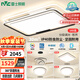 雷士（NVC）客廳燈燈具套餐后現(xiàn)代簡(jiǎn)約LED吸頂燈北歐創(chuàng)意-悠然包安裝