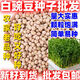 白豌豆種子糧食種豌豆高產(chǎn)晚熟有須品種大田菜園播種蔬菜簡(jiǎn)單易種 白碗豆種子【三斤】