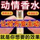 等待等待費(fèi)洛蒙男士香水性刺激欲望荷爾蒙香氛持久留香吸引異性專用香 1瓶單身男用純欲香水情香約會用 荷爾蒙性刺激香水男香吸引女人