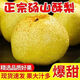 正宗碭山酥梨冰糖香梨 老樹(shù)大果皮薄多汁榨汁果汁生鮮水果半價(jià) 2.5-3斤200g+
