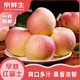 京鮮生 陜西早熟紅富士 凈重4.5斤酸甜口果徑75-80mm 新鮮水果 源頭直發(fā)