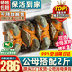 首鮮道【活蟹】三門(mén)鮮活青蟹中秋禮盒鮮活發(fā)貨大螃蟹大紅膏蟹母紅膏蟹 公母搭配 3-5只 2斤凈重【?；睢? title=