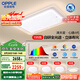 歐普（OPPLE）護眼全光譜吸頂燈客廳燈LED滿天星高亮線條簡約奶油風(fēng)包安裝套餐1