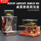 蘭憐爬寵爬蟲(chóng)飼養盒跳蛛蟈蟈寄居蟹螳螂獨角仙蛐蛐蠶觀(guān)察盒昆蟲(chóng)生態(tài)盒 小號高清飼養盒【10×8×7cm】