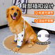 智宙狗狗護肘護膝衣狗狗護腿套大型犬護肘保護套金毛護肘狗腿關(guān)節保護 小號【建議30-60斤】