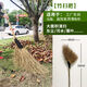 戶(hù)外掃把硬毛手工大竹家用庭院笤帚車(chē)間專(zhuān)用鐵掃帚院子大掃帚 竹掃把1把【加厚加密掃重物】
