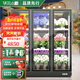 華爾小鵬花店商用鮮花保鮮柜大容量全新級(jí)版風(fēng)冷無(wú)霜冰箱商用冷藏柜鮮花冷柜展示柜花束陳列柜鮮花冰柜 【全屏款】大三門(mén)1860黑/白
