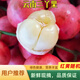 現(xiàn)摘三丫果水果酸甜時令罕見稀有西雙版納木奶果酸甜可口孕婦水果 2斤（顏色隨機）