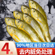 彈指鮮生舟山野生小黃魚  新鮮冷凍海捕黃花魚 生鮮魚類燒烤食材 【去內(nèi)臟】舟山小黃魚 4斤小號(hào)