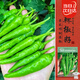 壽禾 樟樹(shù)港辣椒種子種苗湖南特辣秋季蔬菜籽 壽禾樟樹(shù)港辣椒種子15粒