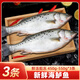 東上御品 國產(chǎn) 整條海鱸魚450g-550g/條凈重  3條裝 船凍鎖鮮-源頭直發(fā)