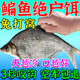 鳊魚(yú)專(zhuān)用餌料野釣黑坑爆護小藥主攻武昌魚(yú)翹嘴免打窩料顆粒誘魚(yú)劑 1袋【鳊魚(yú)最?lèi)?ài)】