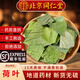 北京同仁堂中藥材新鮮荷葉無(wú)硫天然方片荷葉茶荷葉干荷葉片 荷葉500g