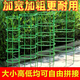 勤凱花架子室內(nèi)家用支架通用型蟹爪蘭花架蓮花護(hù)葉架園藝盆栽支撐桿AS 【升級(jí)加粗+植物通用】 10層【60根】無(wú)限疊高
