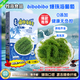 海葡萄【藍盒裝300g】鹽漬海藻植物魚(yú)子醬兒童愛(ài)吃網(wǎng)紅零食附蘸料 一盒【送蘸料醬油芥末】