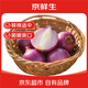 京鮮生 河南紫紅皮洋蔥凈重5斤單果200g+ 現(xiàn)挖新鮮蔬菜 源頭直發(fā)包郵