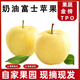 騎猴趕馬正宗煙臺(tái)奶油蘋果冰糖心脆甜產(chǎn)地直發(fā)當(dāng)季新鮮水果奶油富士蘋果 凈重4.5斤【單果65-70mm】 【京牌服務(wù)】