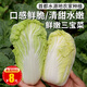 密農(nóng)人家 農(nóng)家種植三寶菜 新鮮蔬菜 鮮嫩小白菜 大娃娃菜 小顆白菜500g
