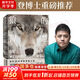 【正版包郵】狼的智慧 我的25年荒野觀狼之旅 一部實地觀察 啟迪人心的動物之書 給每個困頓于水泥叢林都市人的自然慰藉 埃莉H拉丁格 著 中信出版社 新華書店旗艦店科普讀物圖書書籍