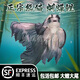 純種臺灣蝴蝶鯉魚好養(yǎng)耐活淡水冷水觀賞魚金魚錦鯉大尾大鰭活體 熊貓【蝴蝶鯉】18-20厘米1條
