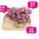 妮娜皇后葡萄生鮮水果現摘現發(fā)提子禮箱【S級15g+】紅酒香+花香 12~15gs級果王級 1.5斤 整串裝（建議剝皮，冷藏食用）