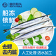 魚(yú)躍船頭秋刀魚(yú)1.2kg 去鰓去內臟 新鮮海捕 船凍鎖鮮日料燒烤海鮮魚(yú)類(lèi) 秋刀魚(yú)600g*2