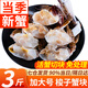 舟山梭子蟹 整只特大螃蟹鮮活冷凍海鮮水產(chǎn) 梭子蟹塊【加大新蟹 免處理】?jì)糁?斤