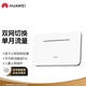 華為（HUAWEI）移動(dòng)路由Pro 雙頻WIFI 千兆網(wǎng)口 插卡4G路由器 隨身移動(dòng)WiFi 【2022款】（月享1500G）