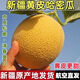 【新疆直發(fā)/空運】正宗吐魯番至愛哈蜜瓜當季水果脆甜黃皮哈密瓜 2-3枚（共7-8斤裝）新疆空運直發(fā)
