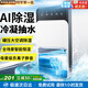 NIYEVN【AI全屋除濕抽水丨碾壓空調(diào)】除濕機家用抽濕機補貼20%除濕器廣東工業(yè)干燥烘干機小型米吸濕 30L/天 全屋除濕丨雙核35倍強效丨負(fù)離子凈化
