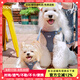 puppytie狗狗牽引繩背心式遛狗繩泰迪狗繩子調節(jié)牽引繩中小型犬胸背帶 牛仔藍-胸背+牽引繩 S-小型 建議8-16斤