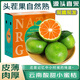 夢(mèng)宛怡云南蜜橘當(dāng)季新鮮薄皮青橘子水果現(xiàn)摘酸甜早熟桔子青皮柑子整箱 凈重4.5斤小果【單果55-60mm】