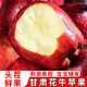 京愿甘肅天水花牛蘋(píng)果水果粉面蛇果國產(chǎn)紅果新鮮應季時(shí)令水果生鮮 凈重4.5斤實(shí)惠裝中果