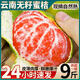 四叔公果蔬云南青皮蜜橘【多地次日達(dá)】橘子桔子中秋節(jié)禮品新鮮水果禮盒 【黃金酸甜比】甄選老樹果王｜單果60-70mm 5斤裝【超值推薦-80%選】凈4.5斤