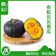 精科優(yōu)鮮新鮮蔬菜有機貝貝南瓜板栗南瓜寶寶輔食無(wú)農殘軟糯5斤裝順豐發(fā)貨 3斤 1500g